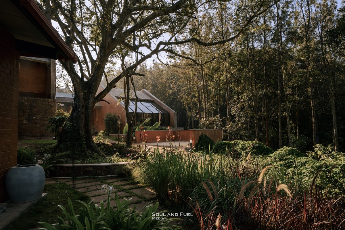 In The Hills — cover
